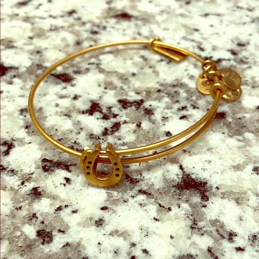 Alex and Ani Horseshoe Band